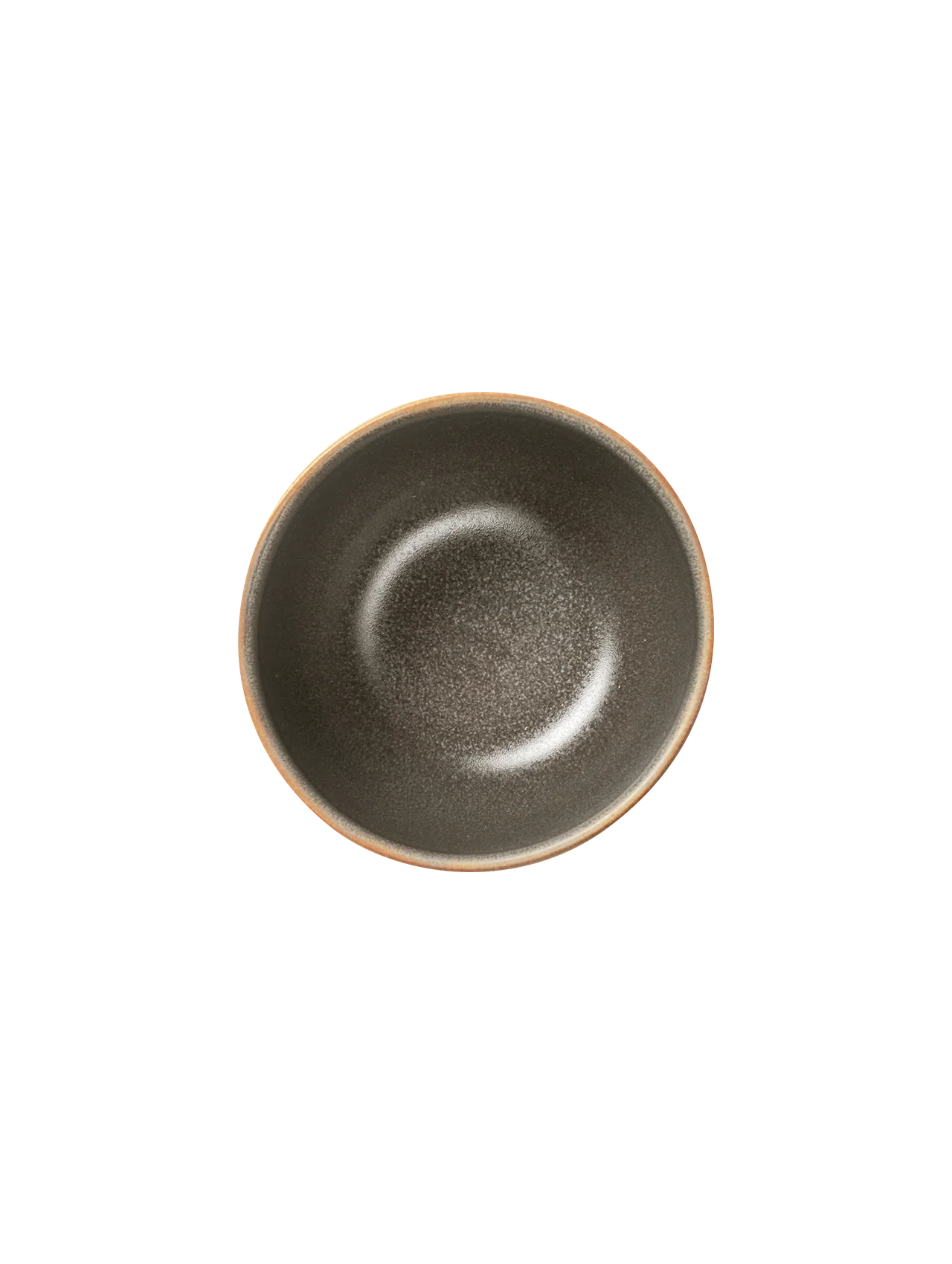 schale, beluga - Image 2